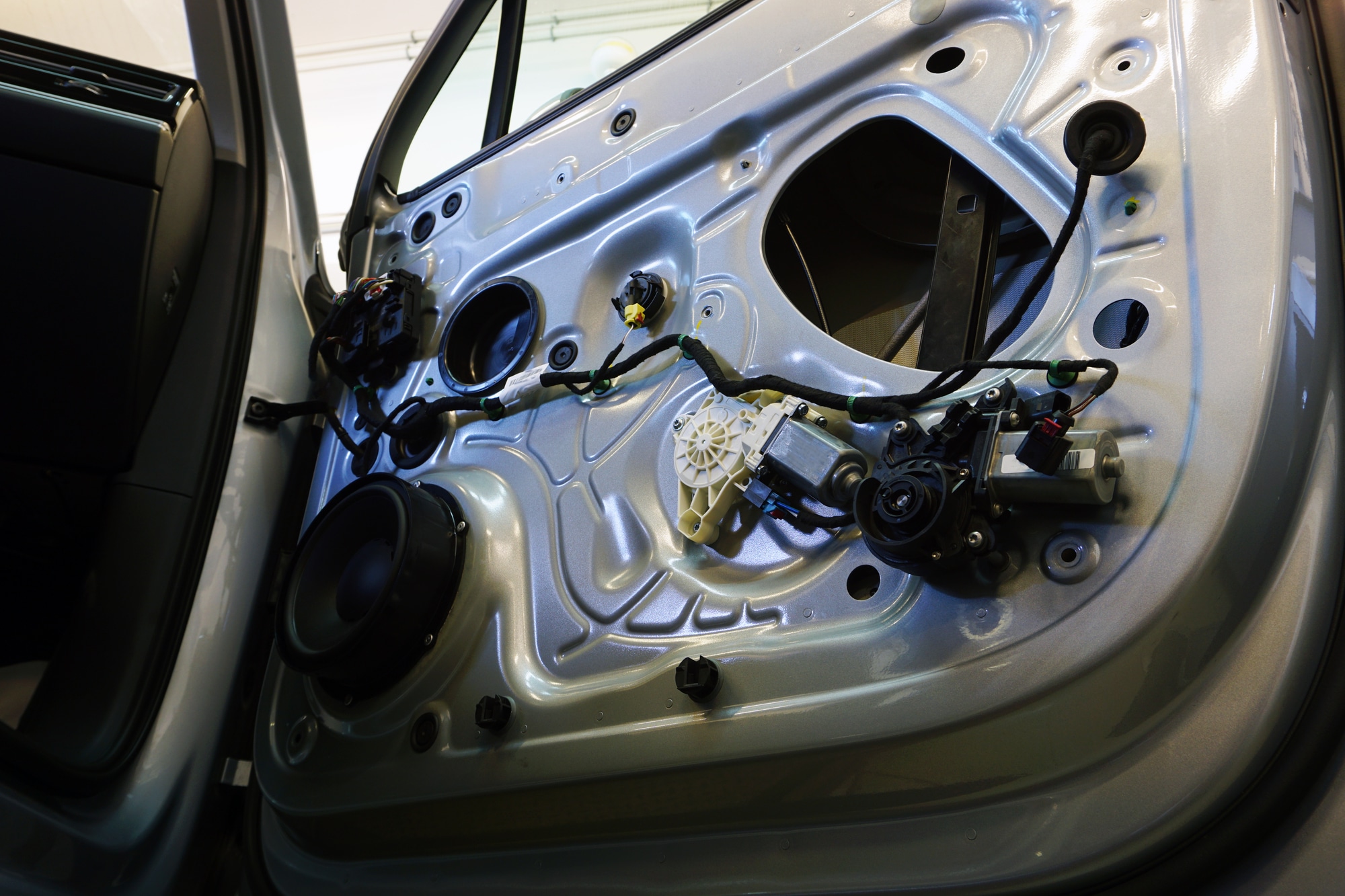 speaker and wiring inside car door